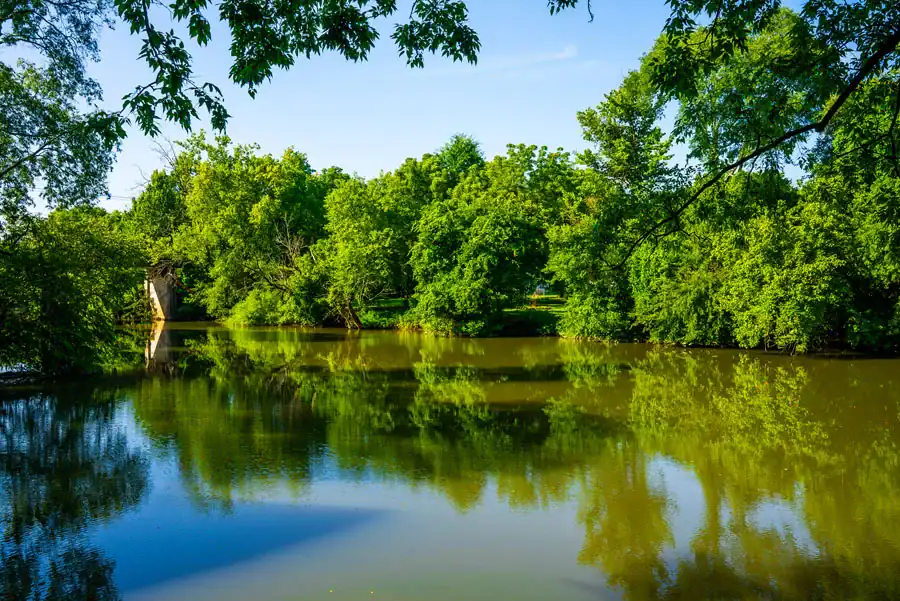 Serene river scene with lush green trees and reflections in water.